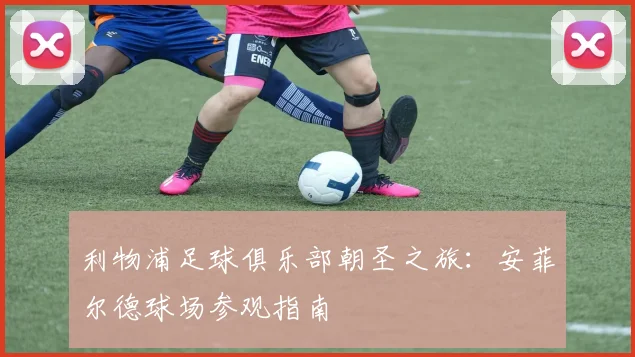 利物浦足球俱乐部朝圣之旅:安菲尔德球场参观指南